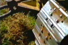 FOTOS (176) � IMAGEN FOTOGRAFIA